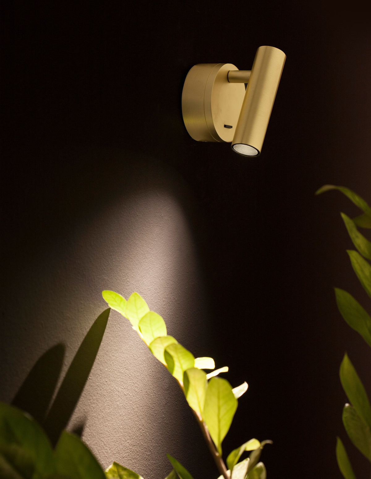 Nova Luce CLIP 9030203 – Appliques murales