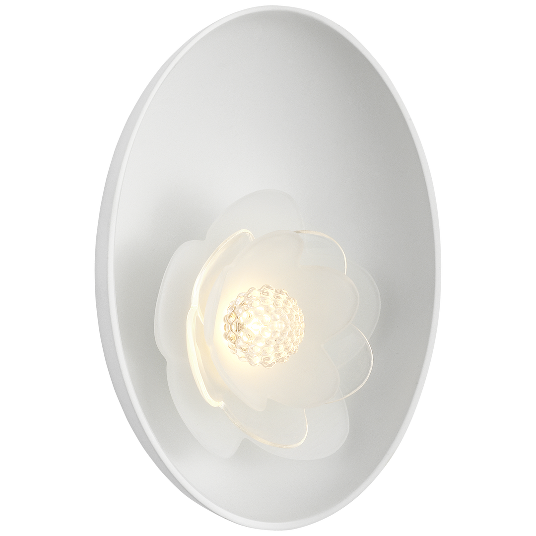 Petaluma 18 cm Reflector